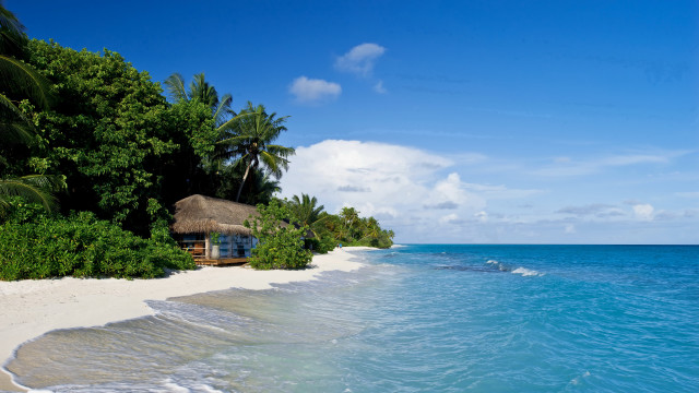 Beach hut shore water trees #2 free wallpaper - medium preview image