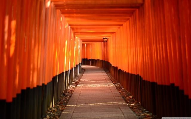 Orange torii lights reflection sunset free wallpaper - medium preview image