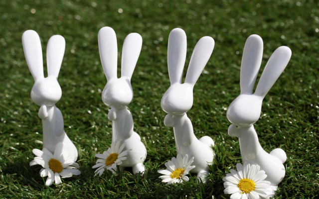 White rabbits green field daisies free wallpaper - medium preview image
