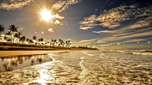 Beach waves palm trees sunny free wallpaper - medium preview image