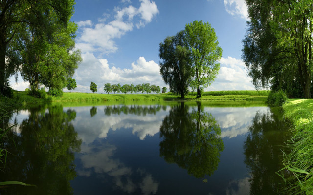 Lake trees grass blue sky #5 free wallpaper for desktop - medium preview image