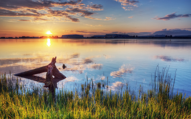 Sunset lake bird branch landscape free wallpaper - medium preview image