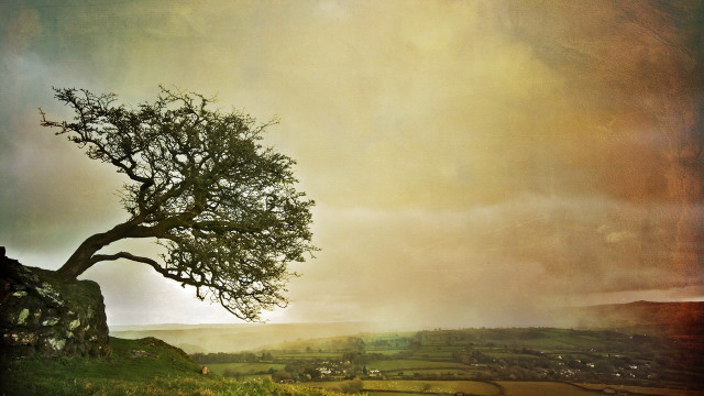 Lone tree hill cloudy sky free wallpaper - medium preview image