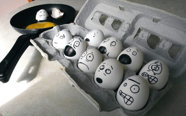Carton eggs faces fryingpan counter free wallpaper - medium preview image