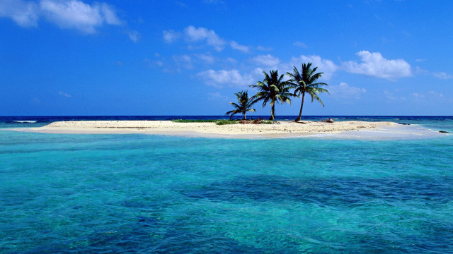 Island palm tree ocean boat free wallpaper - medium preview image