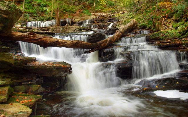 Waterfall fallen tree woods rocks free wallpaper - medium preview image