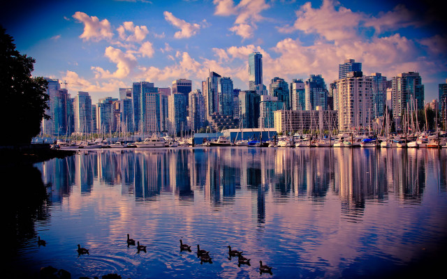 City skyline lake ducks clouds free wallpaper - medium preview image