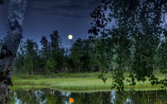 Full moon forest pond night free wallpaper - medium preview image