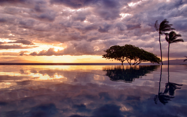 Sunset tree water reflection clouds #3 free wallpaper - medium preview image