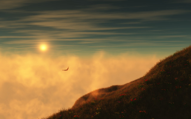 Bird hill sunset clouds matte free wallpaper - medium preview image