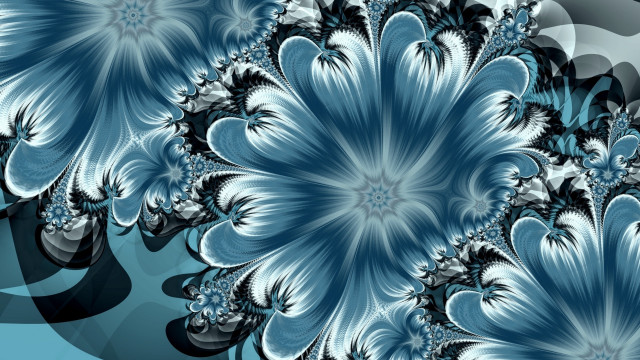 Blue white flower black background #2 free wallpaper - medium preview image