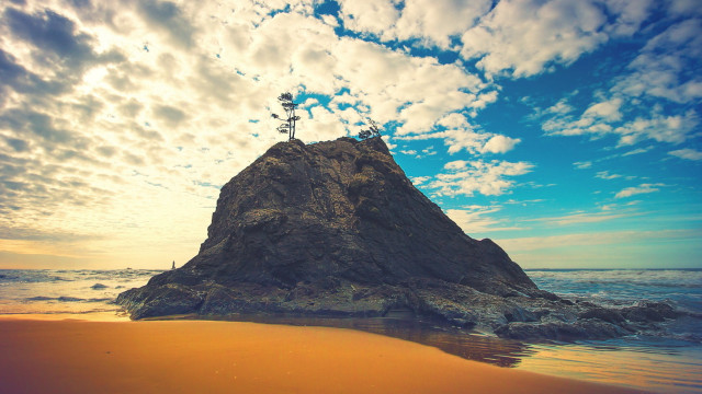 Lone tree rock beach sunset free wallpaper - medium preview image
