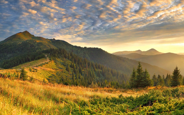 Grassy field mountain cloudy sky #4 free wallpaper - medium preview image