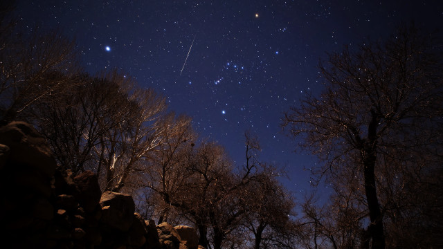 Night sky stars forested background free wallpaper - medium preview image