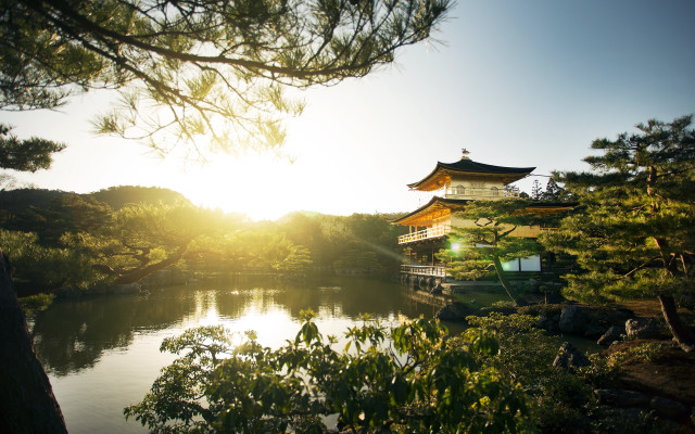 Pagoda lake forest sunshine tilt free wallpaper - medium preview image