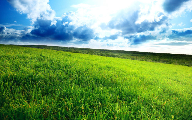 Grassy field blue sky clouds #7 free wallpaper - medium preview image