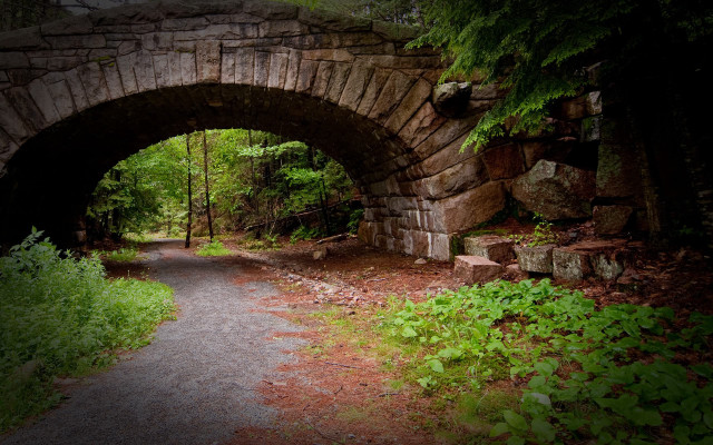 Stone bridge forest road tiltshift free wallpaper - medium preview image