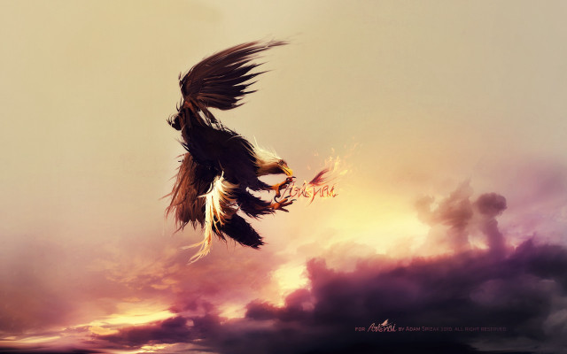 Bird flying sky clouds mountain free wallpaper - medium preview image