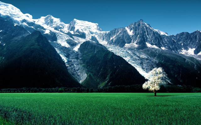 Lone tree mountains blue sky free wallpaper - medium preview image