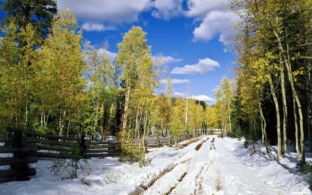 Snowy road trees fence clouds free wallpaper - medium preview image