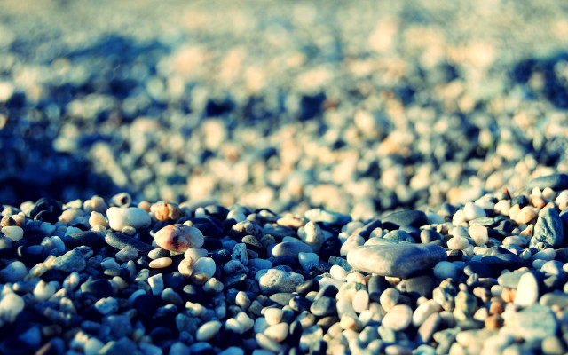 Rocks gravel blue flower bokeh free wallpaper - medium preview image