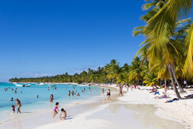 Beach palm trees sky girls free wallpaper - medium preview image