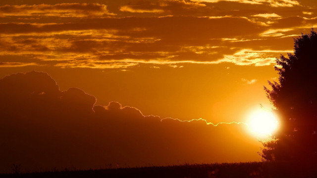 Sunset clouds tree yellow sky free wallpaper - medium preview image