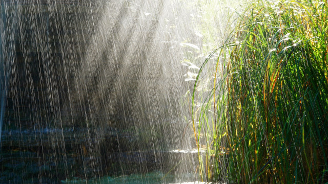 Waterfall light shining grass pond free wallpaper - medium preview image