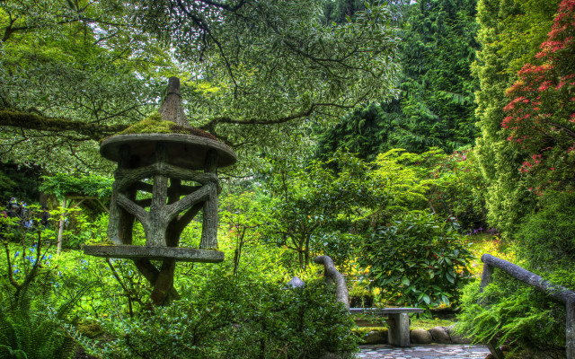 Stone path forest birdfeeder tiltshift free wallpaper - medium preview image