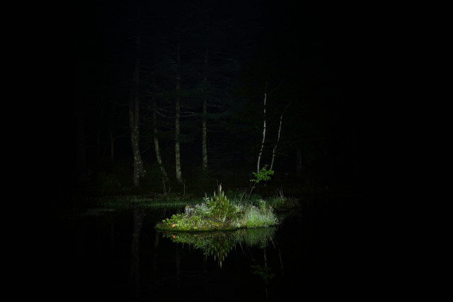 Small island lake night light free wallpaper - medium preview image