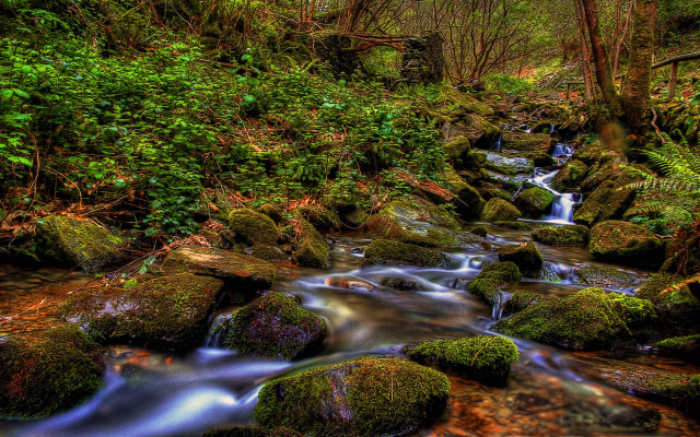 Lush green forest stream waterfall #3 free wallpaper - medium preview image