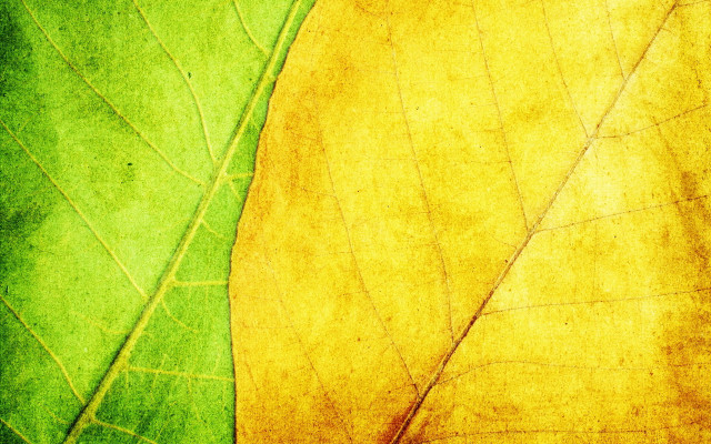 Leaf honeycomb pattern fence tennis free wallpaper - medium preview image