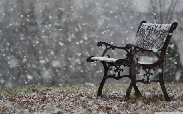 Snowy bench in field with free wallpaper - medium preview image