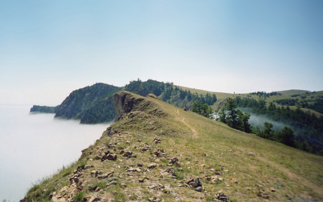 Hill lake trees fog neo free wallpaper - medium preview image