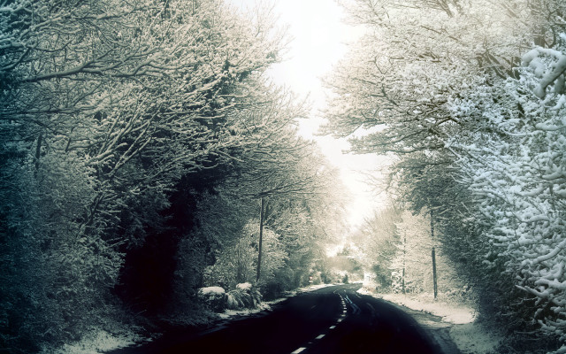 Snowy road trees car night free wallpaper - medium preview image