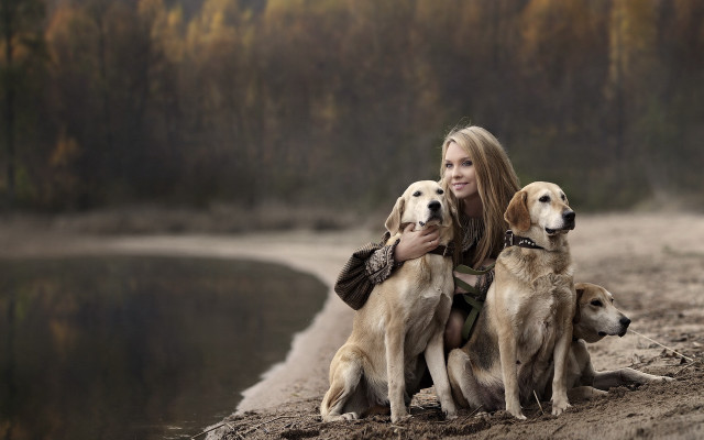 Woman beach dogs lake illustration free wallpaper - medium preview image