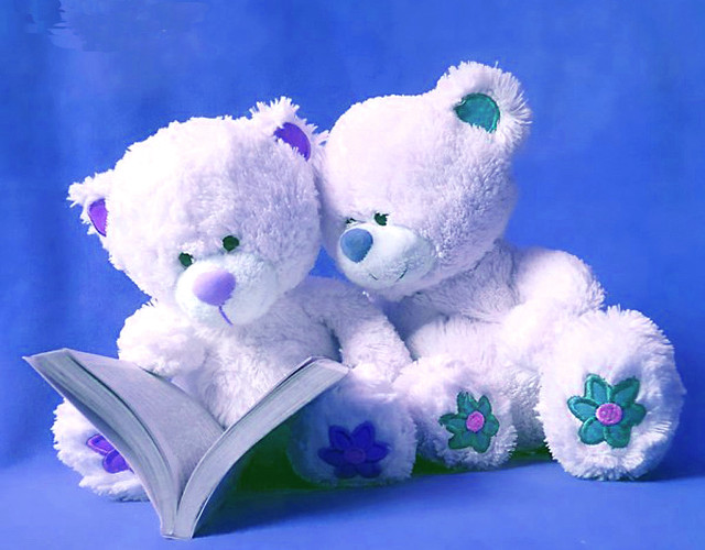 Two white teddy bears reading free wallpaper - medium preview image
