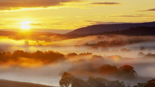 Sunset valley trees fog hills free wallpaper - medium preview image