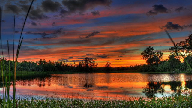 Sunset lake trees grass clouds free wallpaper - medium preview image