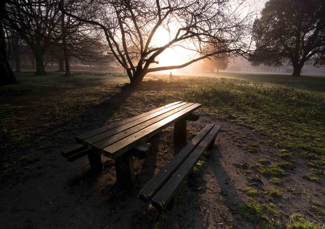 Wooden bench park sunset trees free wallpaper - medium preview image