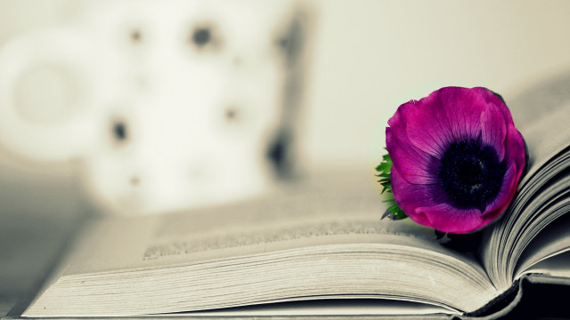 Purple flower open book white free wallpaper - medium preview image