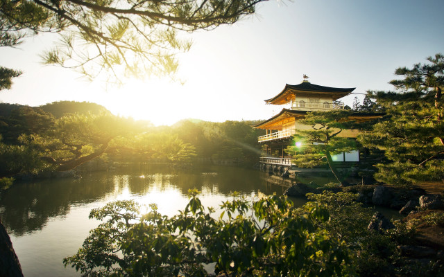 Pagoda lake bridge forest nature free wallpaper - medium preview image