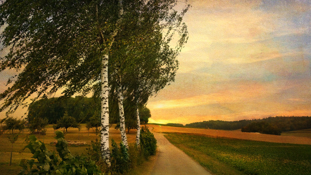 Path field trees sunset clouds free wallpaper - medium preview image