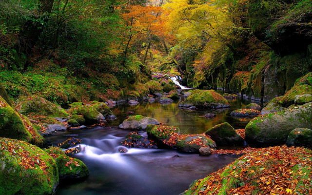 Autumn forest stream waterfall nature free wallpaper - medium preview image