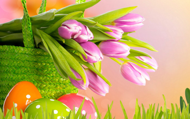 Basket pink flowers eggs grass free wallpaper - medium preview image