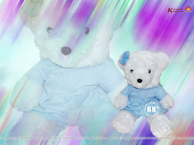 Two stuffed animals rainbow polar free wallpaper - medium preview image