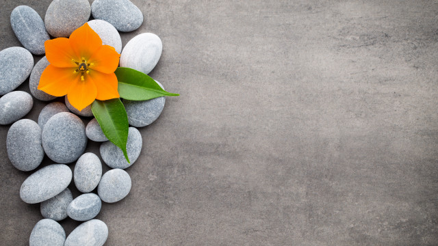 Orange flower rocks leaves minimalism free wallpaper - medium preview image