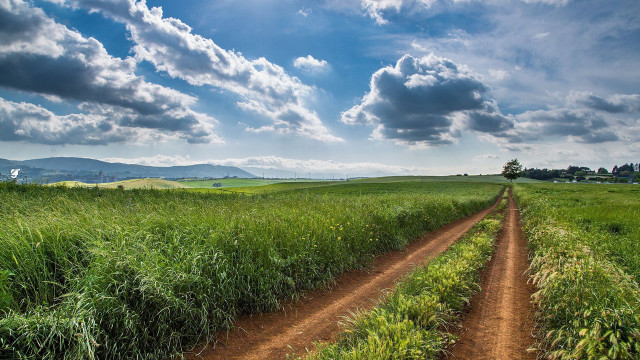 Dirt road field clouds sky free wallpaper - medium preview image