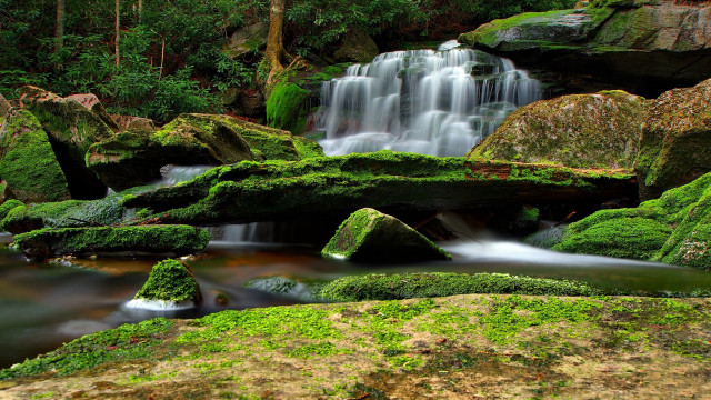 Mossy rocks forest waterfall impressionist free wallpaper - medium preview image