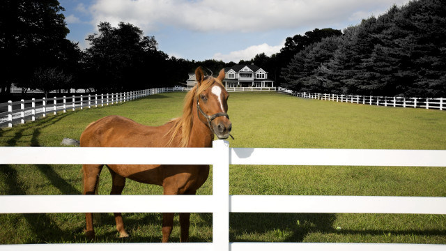 Horse fence field house trees free wallpaper - medium preview image